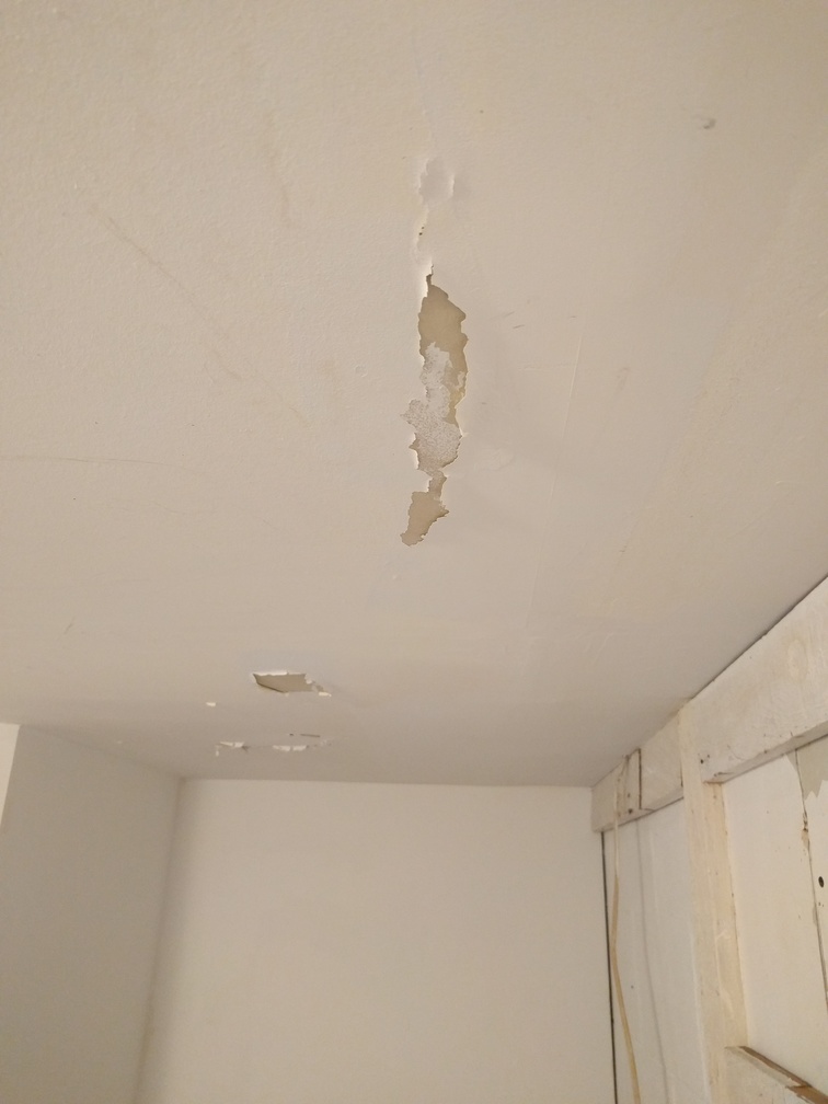 Mudroom ceiling 1